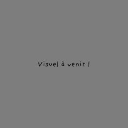 Logo - Arsène